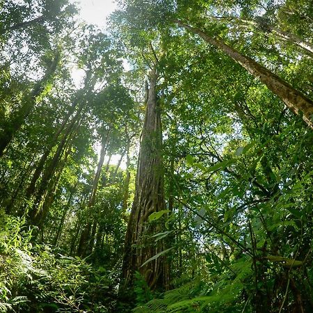 Talamanca Nature Reserve Rivas ภายนอก รูปภาพ