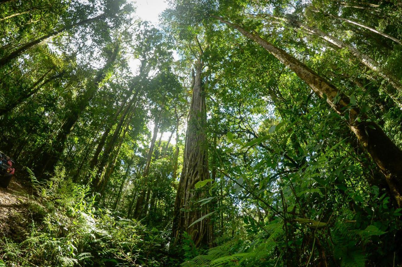 Talamanca Nature Reserve Rivas ภายนอก รูปภาพ