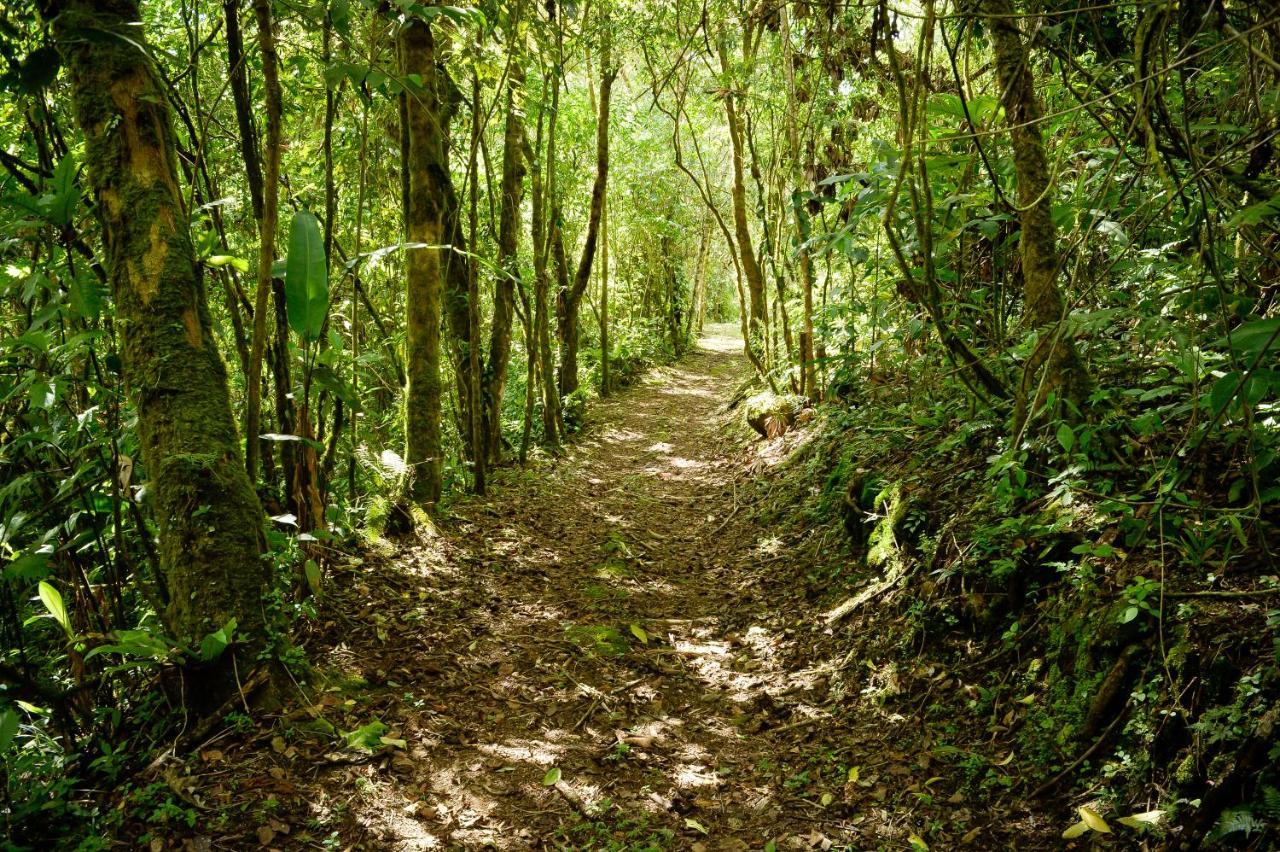 Talamanca Nature Reserve Rivas ภายนอก รูปภาพ
