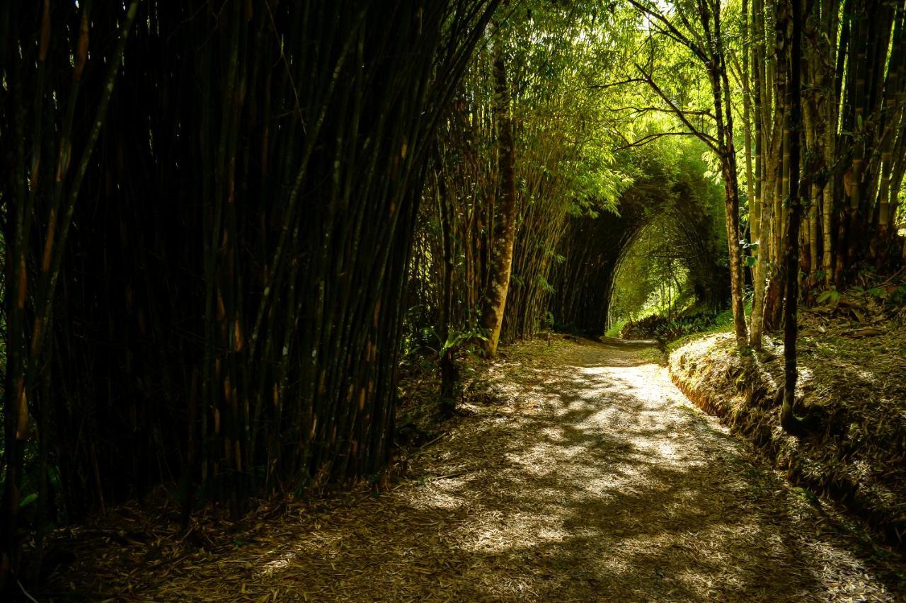 Talamanca Nature Reserve Rivas ภายนอก รูปภาพ