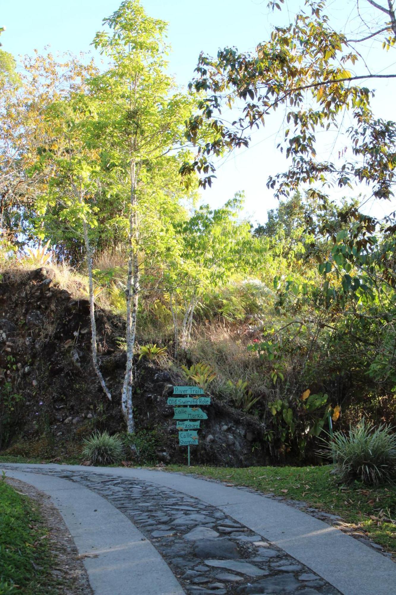 Talamanca Nature Reserve Rivas ภายนอก รูปภาพ