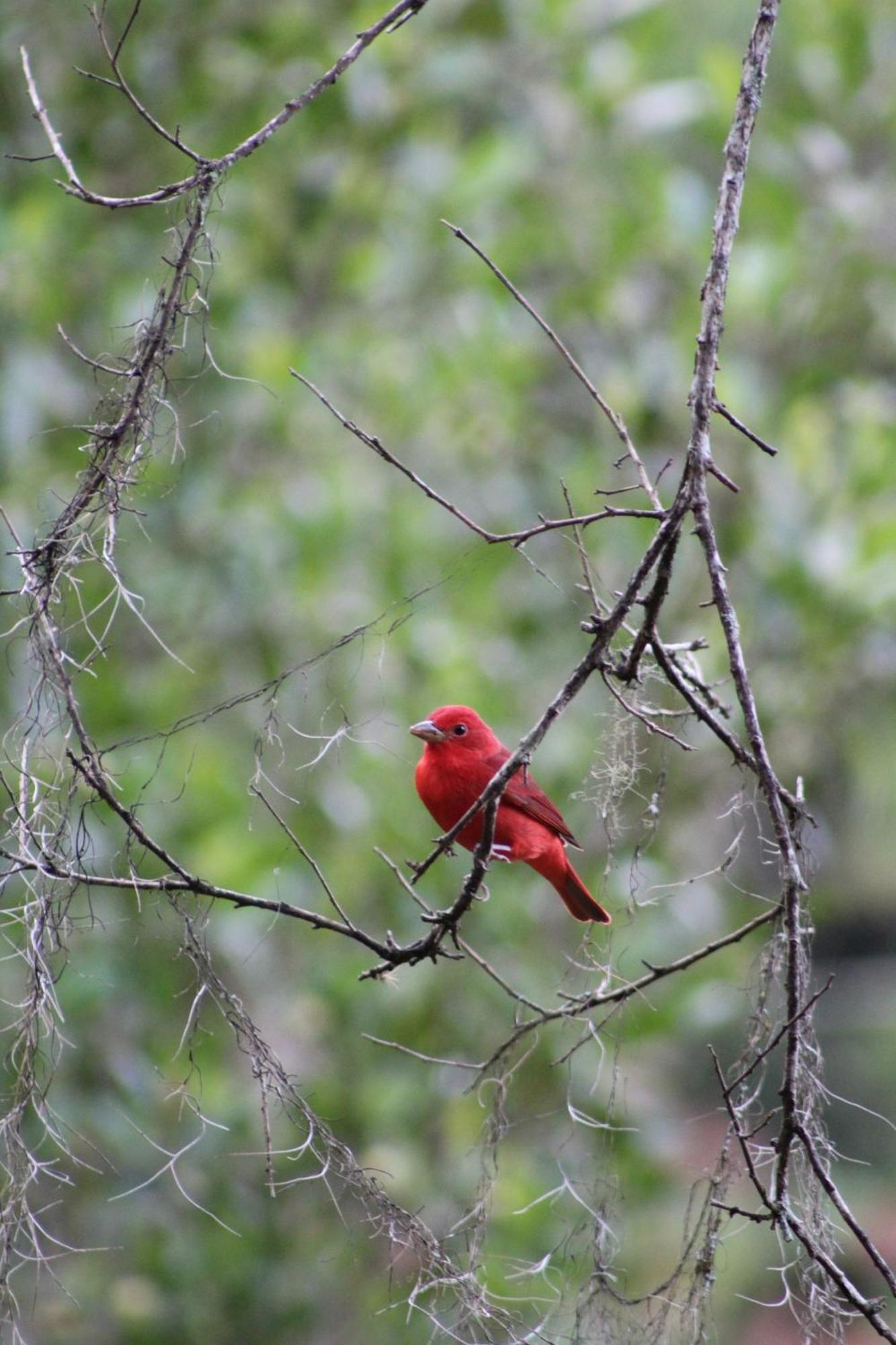 Talamanca Nature Reserve Rivas ภายนอก รูปภาพ