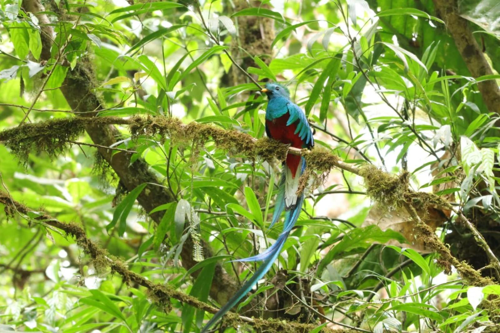 Talamanca Nature Reserve Rivas ภายนอก รูปภาพ