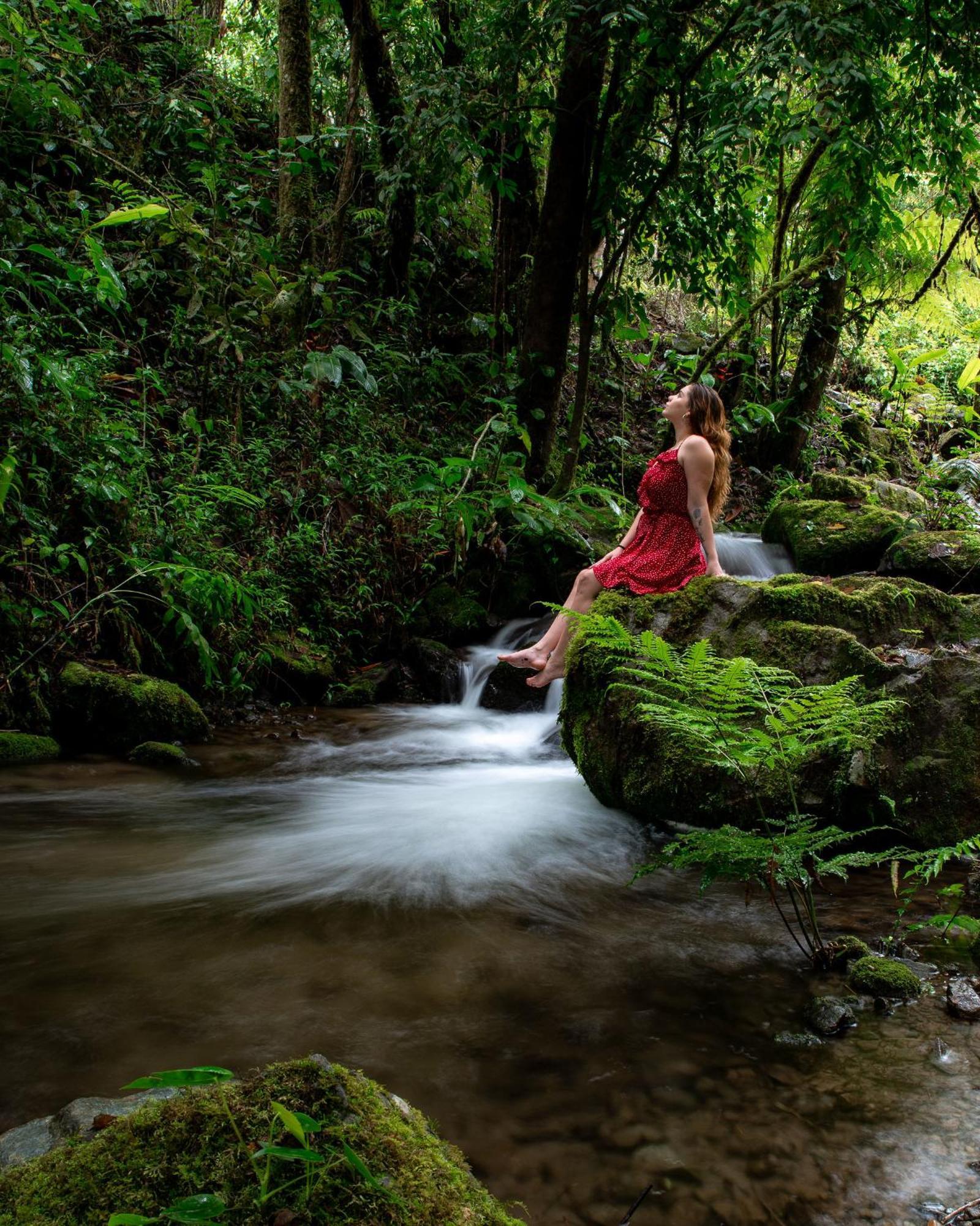 Talamanca Nature Reserve Rivas ภายนอก รูปภาพ