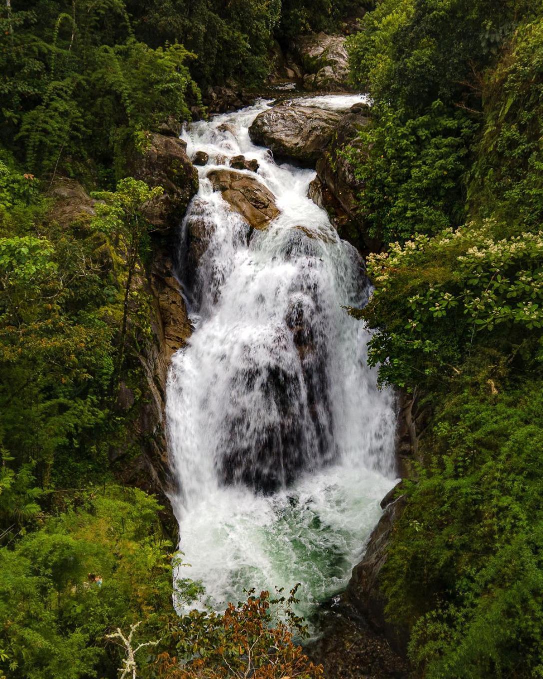 Talamanca Nature Reserve Rivas ภายนอก รูปภาพ