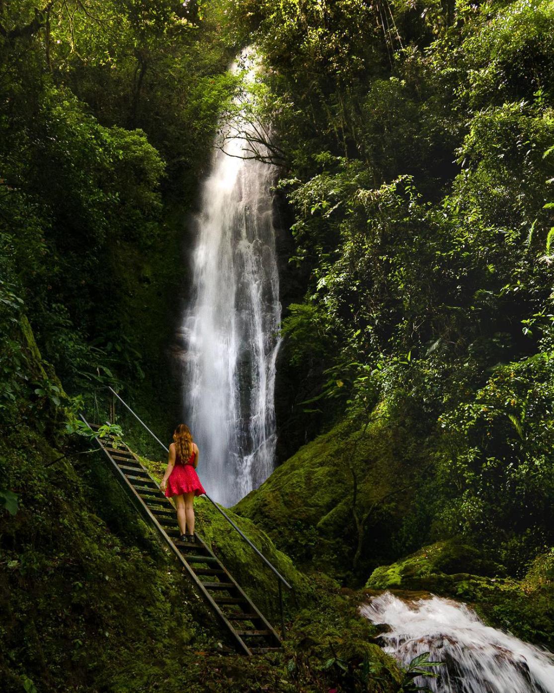 Talamanca Nature Reserve Rivas ภายนอก รูปภาพ