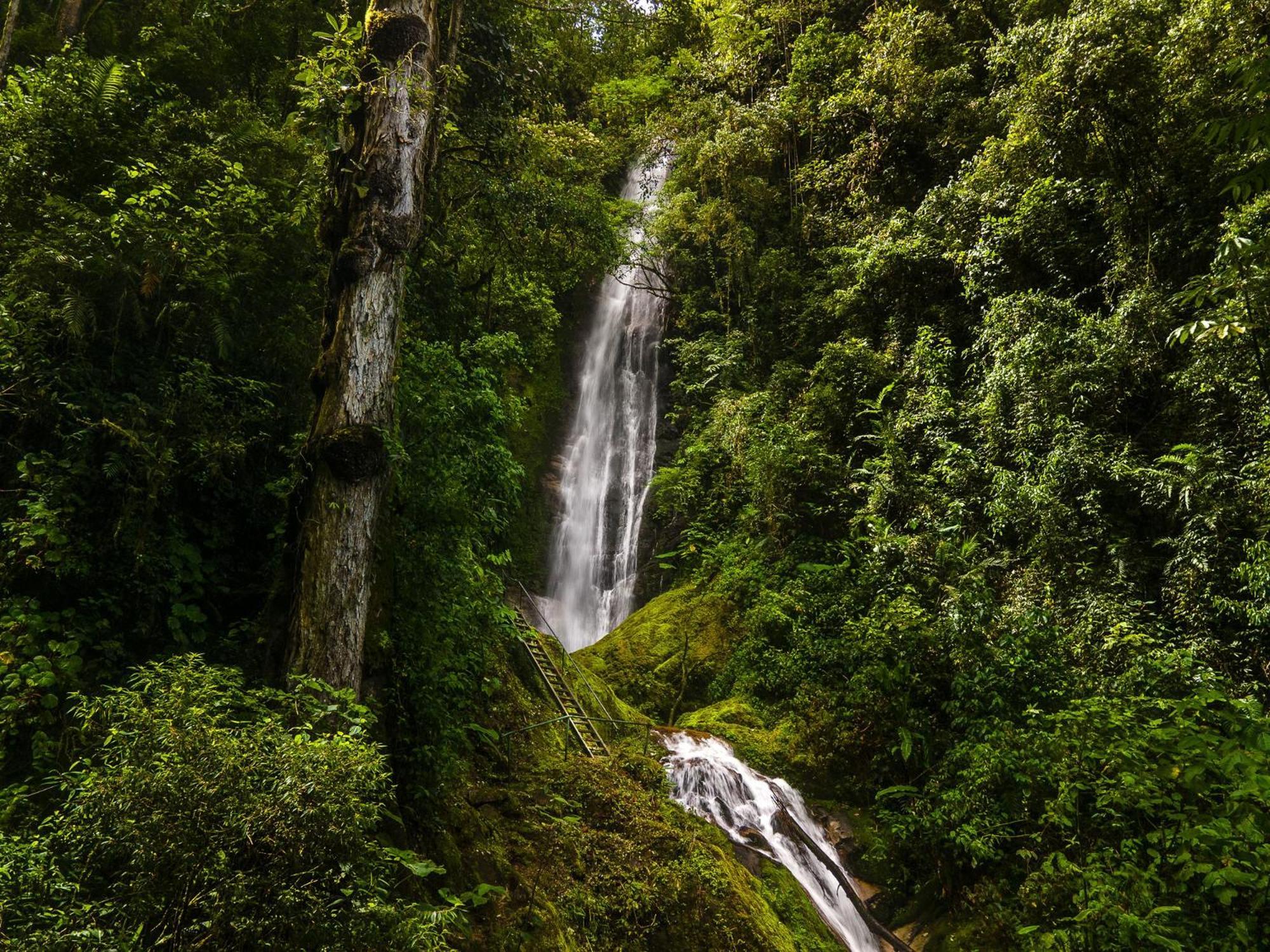 Talamanca Nature Reserve Rivas ภายนอก รูปภาพ