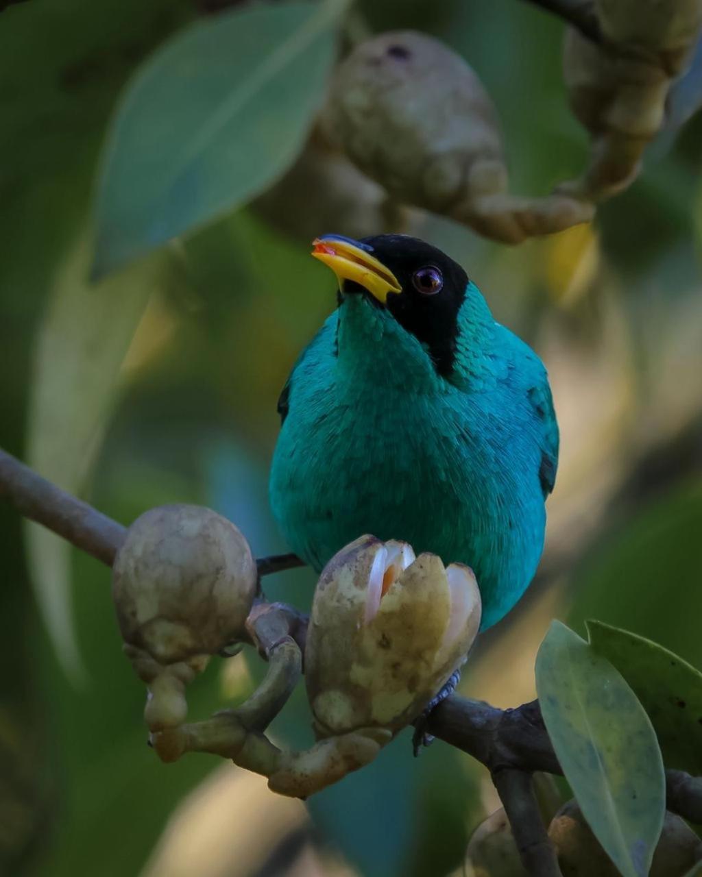 Talamanca Nature Reserve Rivas ภายนอก รูปภาพ