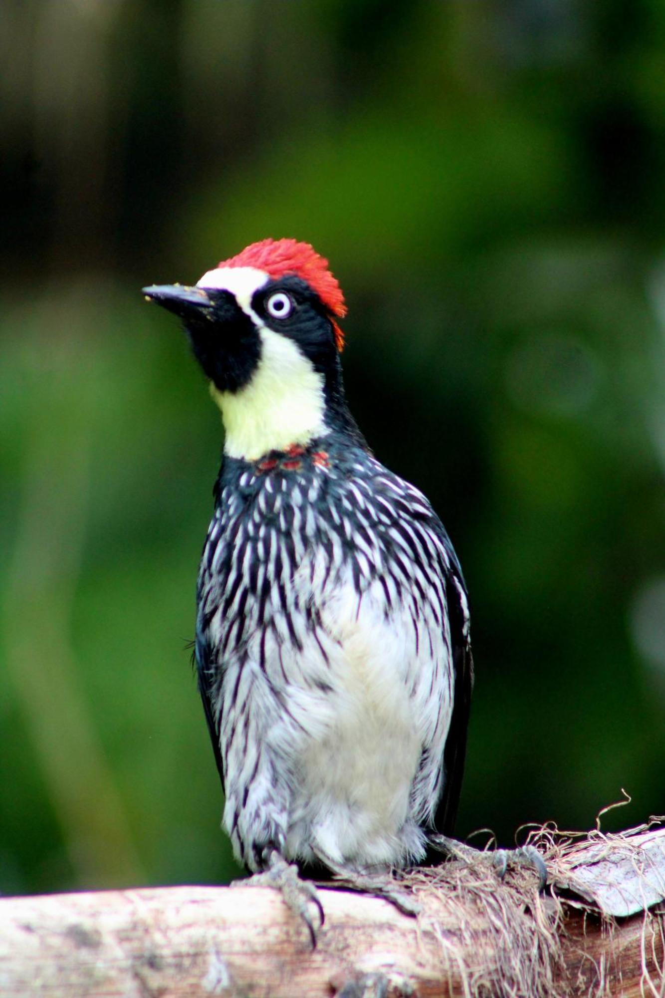 Talamanca Nature Reserve Rivas ภายนอก รูปภาพ