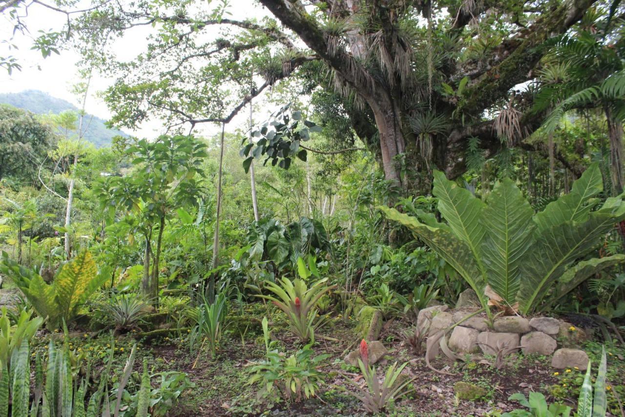 Talamanca Nature Reserve Rivas ภายนอก รูปภาพ