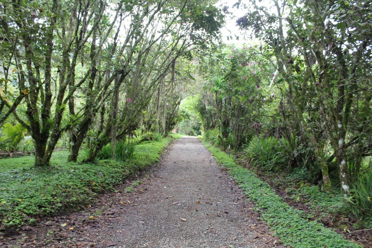 Talamanca Nature Reserve Rivas ภายนอก รูปภาพ